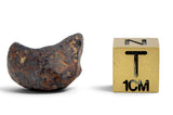 9.97g AGOUDAL Iron Meteorite I IIAB Iron