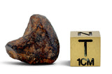 9.97g AGOUDAL Iron Meteorite I IIAB Iron