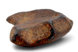 7.36g AGOUDAL Oriented Meteorite I IIAB Iron Meteorite
