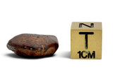 7.36g AGOUDAL Oriented Meteorite I IIAB Iron Meteorite