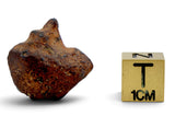 7.36g AGOUDAL Oriented Meteorite I IIAB Iron Meteorite