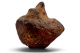 7.36g AGOUDAL Oriented Meteorite I IIAB Iron Meteorite