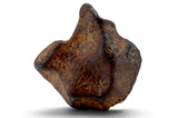 7.36g AGOUDAL Oriented Meteorite I IIAB Iron Meteorite