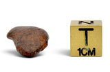 6.20g AGOUDAL Oriented Meteorite I IIAB Iron Meteorite