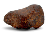 6.20g AGOUDAL Oriented Meteorite I IIAB Iron Meteorite