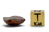 6.47g AGOUDAL Oriented Meteorite I IIAB Iron Meteorite