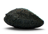 0.25g AGUAS ZARCAS Oriented Meteorite I Carbonaceous Chondrite CM2
