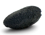 0.25g AGUAS ZARCAS Oriented Meteorite I Carbonaceous Chondrite CM2