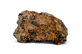 0.38g Angrite I Rare Differentiated Meteorite - NWA 10646