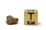 0.38g Angrite I Rare Differentiated Meteorite - NWA 10646