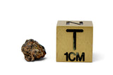 0.47g Angrite I Rare Differentiated Meteorite - NWA 10646