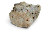 1.01g Aubrite Achondrite Meteorite Fragment I NWA 13304
