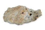 1.01g Aubrite Achondrite Meteorite Fragment I NWA 13304