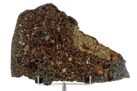 39.4g NWA 10214 Host to the Chimeric Clast I Clast 6 I Unique Meteorite Complete Slice