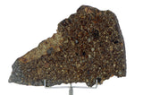 39.4g NWA 10214 Host to the Chimeric Clast I Clast 6 I Unique Meteorite Complete Slice