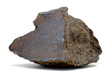 366.9g H5 Chondrite Main Mass I Found in Tunisia