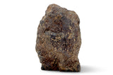 366.9g H5 Chondrite Main Mass I Found in Tunisia