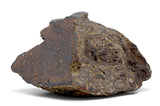 366.9g H5 Chondrite Main Mass I Found in Tunisia
