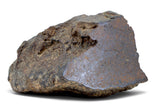 366.9g H5 Chondrite Main Mass I Found in Tunisia