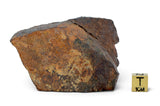 277.43g Chondrite Unclassified Meteorite