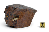 277.43g Chondrite Unclassified Meteorite