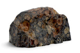 2.73g CV3 Carbonaceous Chondrite Meteorite I NWA 8288