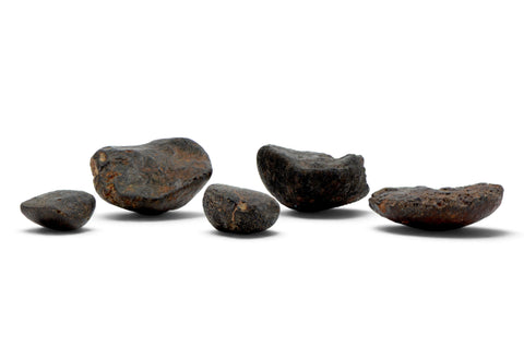 5 NWA Oriented Ordinary Chondrite Meteorites Totaling 21.05g