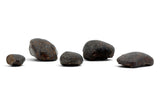 5 NWA Oriented Ordinary Chondrite Meteorites Totaling 21.05g