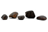 5 NWA Oriented Ordinary Chondrite Meteorites Totaling 21.05g