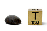 5 NWA Oriented Ordinary Chondrite Meteorites Totaling 21.05g