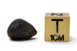 5 NWA Oriented Ordinary Chondrite Meteorites Totaling 21.05g