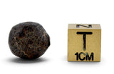 5 NWA Oriented Ordinary Chondrite Meteorites Totaling 21.05g