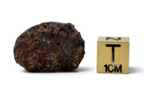 5 NWA Oriented Ordinary Chondrite Meteorites Totaling 21.05g