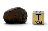 5 NWA Oriented Ordinary Chondrite Meteorites Totaling 21.05g