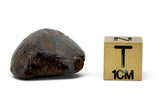 5 NWA Oriented Ordinary Chondrite Meteorites Totaling 21.05g