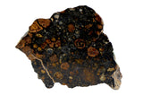2.23g CV3 Carbonaceous Chondrite Meteorite I NWA 8288