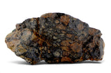 2.23g CV3 Carbonaceous Chondrite Meteorite I NWA 8288