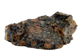 2.23g CV3 Carbonaceous Chondrite Meteorite I NWA 8288