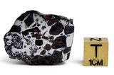 4.83g GYARUB ZANGBO Ungrouped Pallasite Meteorite Slice from Tibet