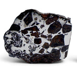 4.83g GYARUB ZANGBO Ungrouped Pallasite Meteorite Slice from Tibet