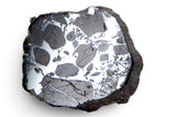 4.83g GYARUB ZANGBO Ungrouped Pallasite Meteorite Slice from Tibet