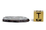 4.83g GYARUB ZANGBO Ungrouped Pallasite Meteorite Slice from Tibet