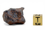 23.46g AGOUDAL Iron Meteorite I IIAB Iron