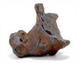23.46g AGOUDAL Iron Meteorite I IIAB Iron