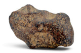 28.14g AGOUDAL Iron Meteorite I IIAB Iron