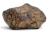 28.14g AGOUDAL Iron Meteorite I IIAB Iron