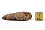28.14g AGOUDAL Iron Meteorite I IIAB Iron