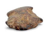 28.14g AGOUDAL Iron Meteorite I IIAB Iron