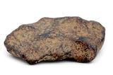 28.14g AGOUDAL Iron Meteorite I IIAB Iron