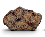 28.14g AGOUDAL Iron Meteorite I IIAB Iron